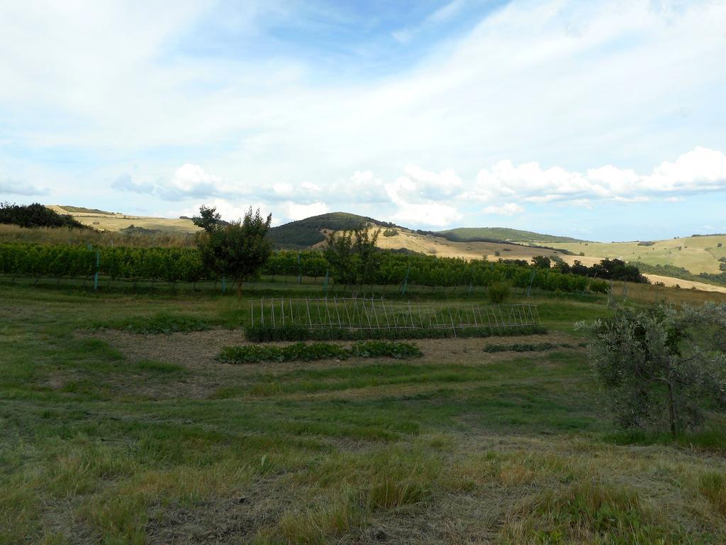 Agriturismo Santa Bruna Villa Volterra Exterior foto