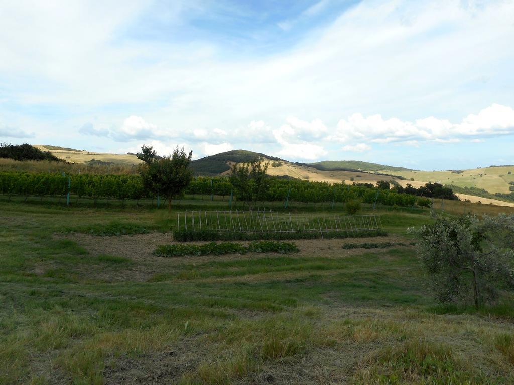 Agriturismo Santa Bruna Volterra Exterior foto
